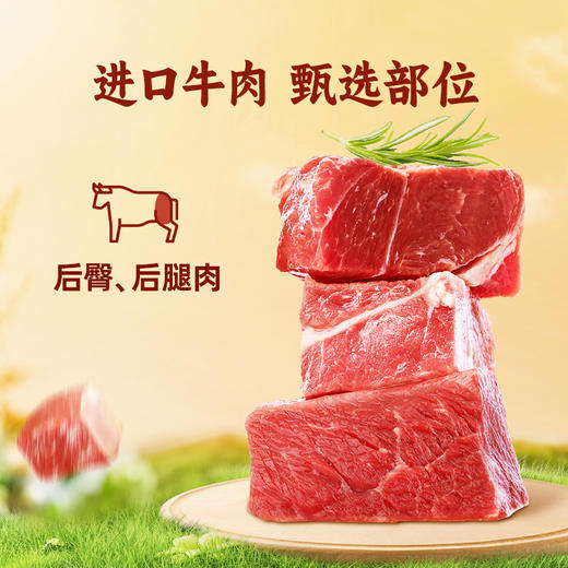 孕味食足牛肉干粒五香肉干无添加淀粉孕期解馋抗饿营养小吃零食品 商品图2