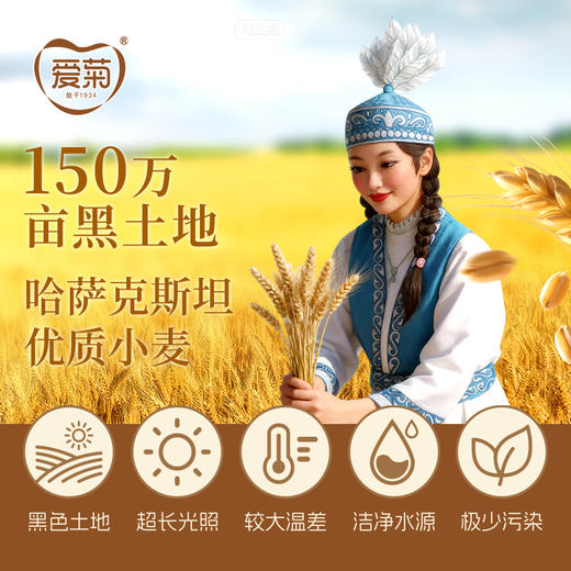 爱菊哈萨克斯坦雪花粉5kg 商品图2