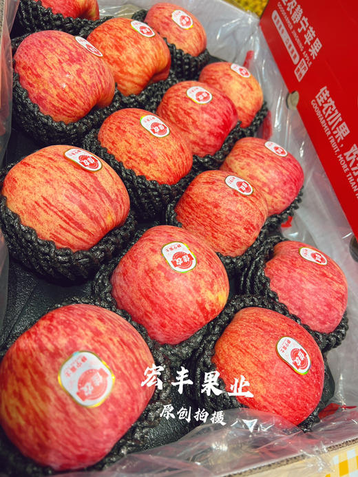 宏丰精选，佳农苹果 大品牌货 脆甜爽口，零售15.8元一斤 商品图4