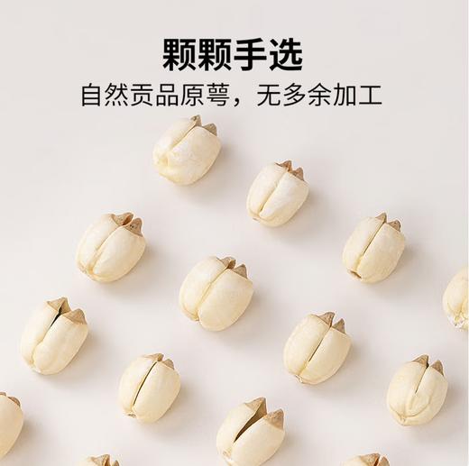 【SF】莲子 滋补营养 商品图1