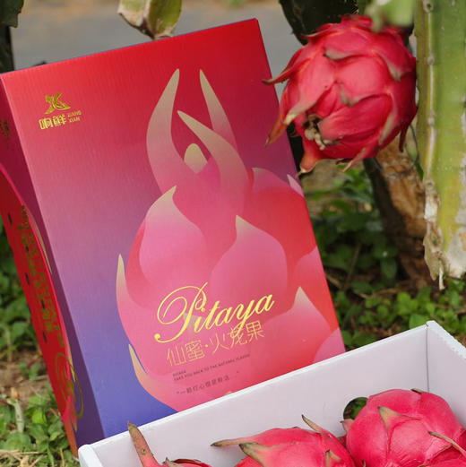 石家庄优选仓库速达，响鲜&红心火龙果，皮薄肉厚，甜蜜多汁，满满的花青素，口感与营养并存，净重5斤/3枚礼盒装 商品图2