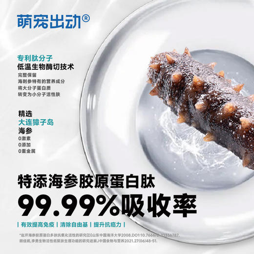 萌宠出动全价狗粮犬餐包湿粮小型犬博美泰迪主食罐袋装狗饭主食 商品图2