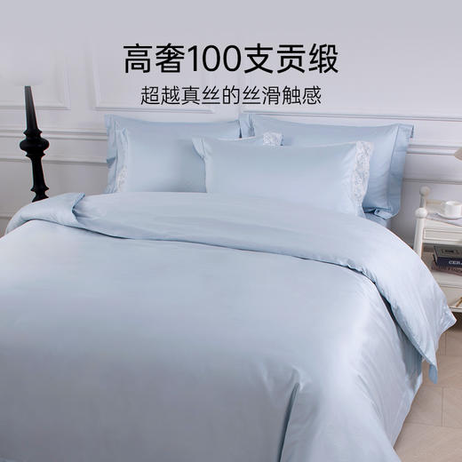 2026年新款雅芳婷100S埃及长绒棉四件套轻奢全棉蕾丝被套床笠套件 商品图2