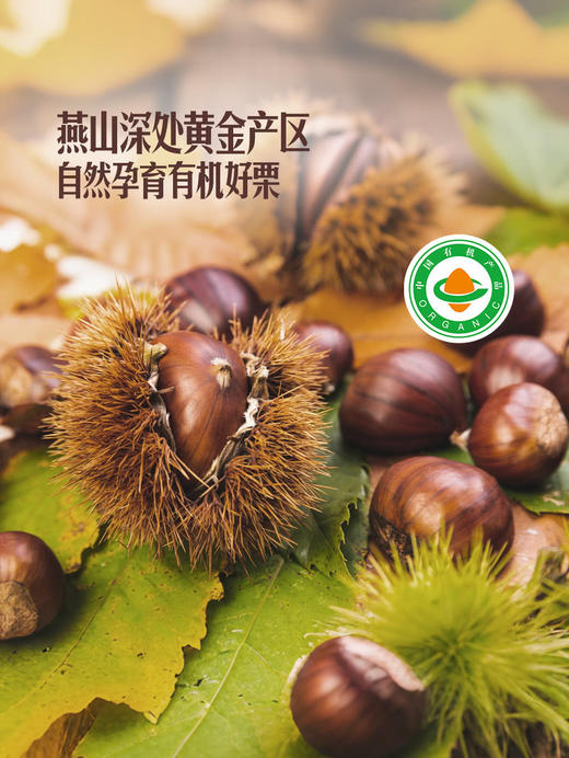 Member's Mark 有机板栗仁 1kg(10袋) 山姆会员店商品非商品原因不支持退款 商品图2