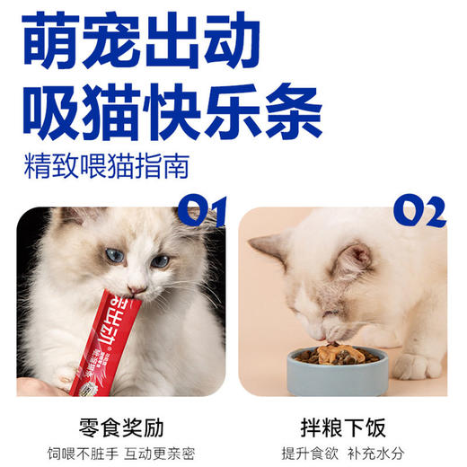 萌宠出动呲溜猫条功能性猫草去毛球美毛亮肤猫咪湿粮零食 商品图3