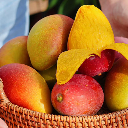 石家庄优选仓库速达，海南贵妃芒，树上自然熟，入口无渣、香甜丝滑、皮薄核薄，净重4斤礼盒装 商品图0