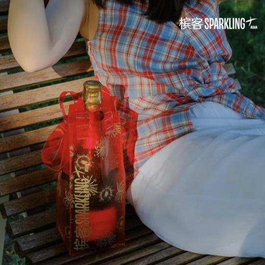 夏日限定 | 槟客夏日多彩单支香槟冰袋 （需配合香槟一起下单，单拍需要额外支付运费） 商品图7