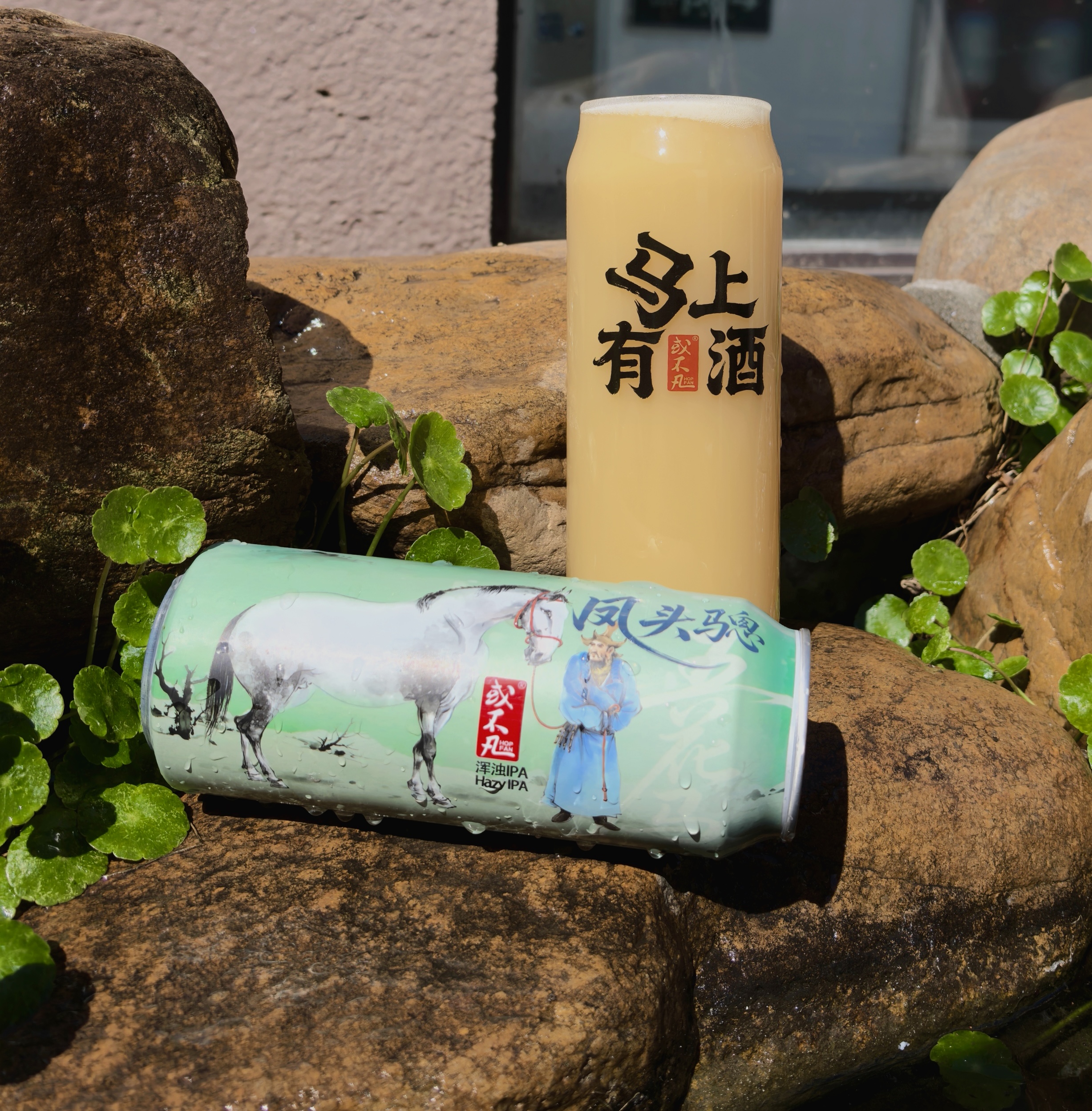 或不凡 凤头骢 500ml