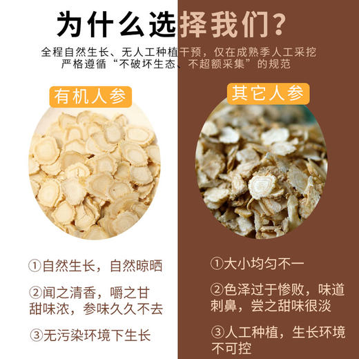 有机人参片35g|长白山五年足龄参 商品图3