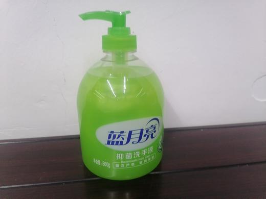 蓝月亮洗手液 商品图0