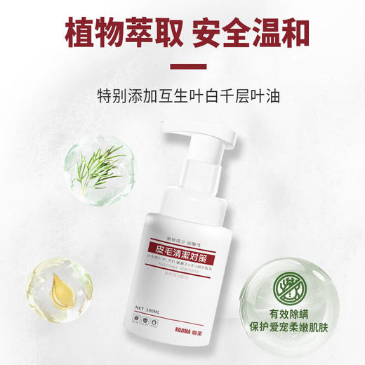 Kojima宠物免洗泡沫免洗沐浴露免洗澡香波猫咪狗狗幼猫幼犬除臭 商品图3