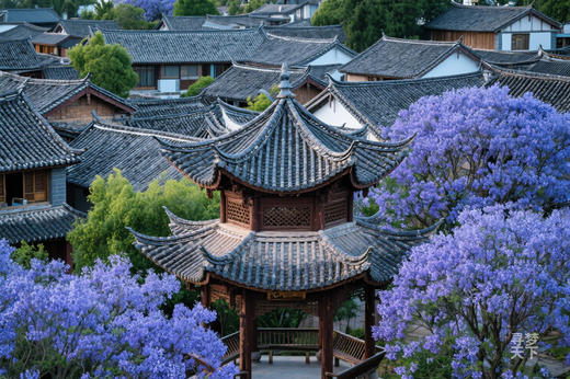 4月23日云南蓝花楹、滇越铁路、抚仙湖红沙滩、建水十七孔桥、梦幻蚁工坊6天Y 商品图10