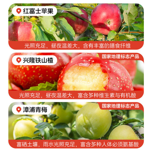 金豆芽开胃助消化乳酸菌儿童山楂汁吸嘴袋装/礼盒装多规格 商品图3