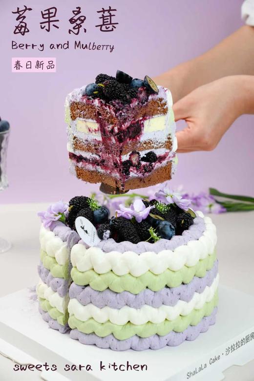 莓果桑葚 商品图6