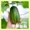 【苹果丝瓜】口感清爽，鲜美嫩滑，丝瓜味浓，源自中国宝岛台湾的稀奇新品种，营养丰富 商品缩略图0
