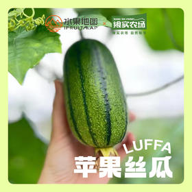 【苹果丝瓜】口感清爽，鲜美嫩滑，丝瓜味浓，源自中国宝岛台湾的稀奇新品种，营养丰富