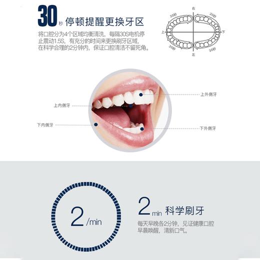 【西莱森Cilaisen高端声波电动牙刷】【送刷头2个】优质杜邦刷毛 柔韧耐用 护龈高效洁齿 全身防水 3档模式 全家适用 商品图2