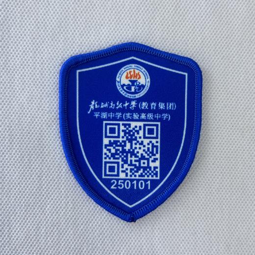 定制龙城高级中学（教育集团）平湖中学（实验高级中学）校徽包邮51 商品图2