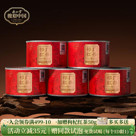 正山堂骏眉中国 祁红毛峰 正宗安徽祁门红茶口粮茶叶罐装自饮自己喝