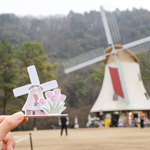 杭州西湖景区太子湾郁金香文创花展限定香氛卡立体造型香卡 商品图1