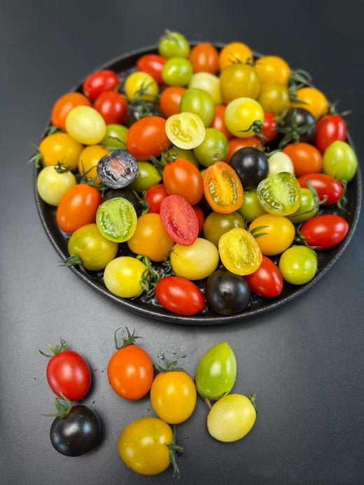 【山东 多彩小番茄】每一颗都有它独特的味道，真的是风味万种！ 商品图0