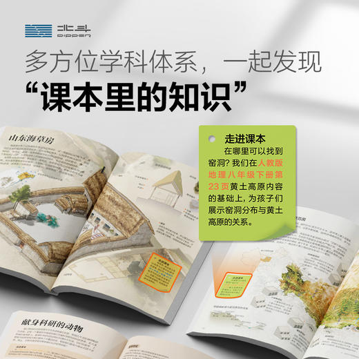 课本里的图解百科 商品图3