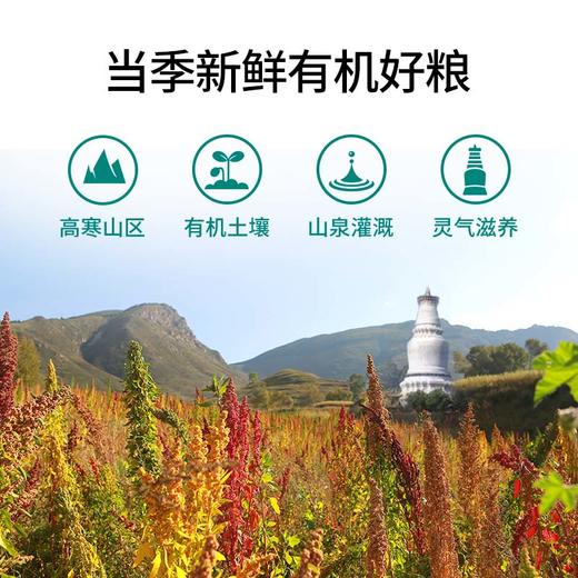 五台山礼麦白红黑有机三盒藜麦控糖主食混合糙米五谷杂粮真空包装500g*3盒 商品图1