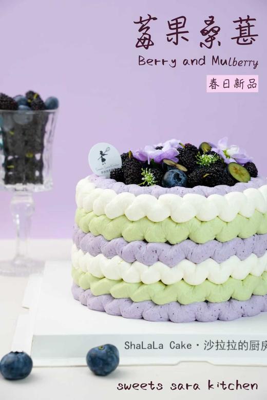 莓果桑葚 商品图4