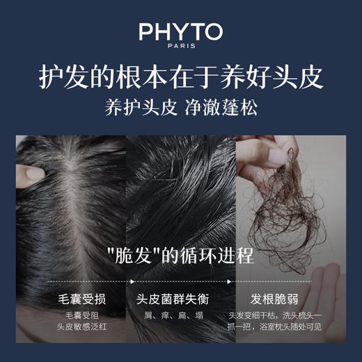 发朵PHYTO 发丝固发女士洗发水100m1 商品图2