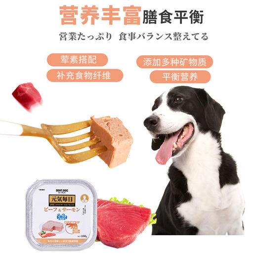 日本丹特医生狗狗罐头主食餐盒成犬幼犬老年狗湿粮肉罐头拌粮零食 商品图3
