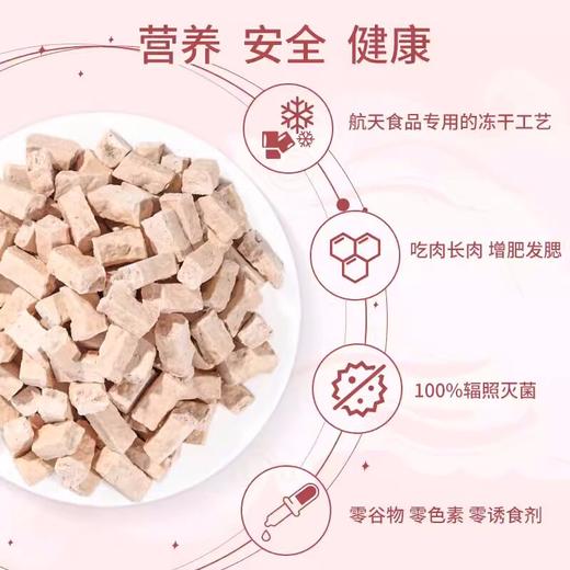 爱立方猫粮冻干猫零食牛肉鸭肉鸡肉鹌鹑冻干肉猫咪冻干猫粮试吃装 商品图3