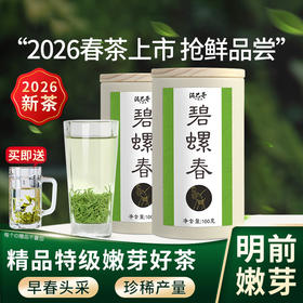 2026明前新茶 泥巴哥精品碧螺春嫩芽珍稀绿茶100g*2罐