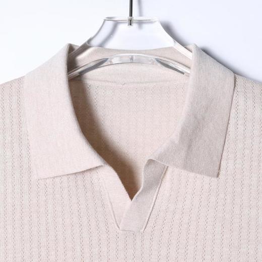 SDSA男装2026新款高贵轻奢简约纯色肌理海鸥领短袖T恤百搭休闲 商品图1