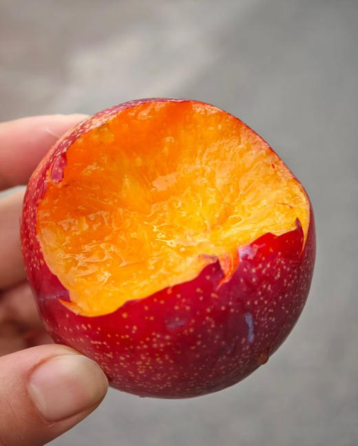 【宏丰精选】 太阳李，脆甜，籽小肉厚 爆汁，活动价19.8元一斤 商品图5