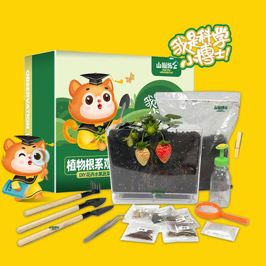 19.9秒❗️植物观察盒6种植物 山猫博士儿童植物观察窗 种子发芽生长宝宝种植迷你小盆栽幼儿绿植 商品图1