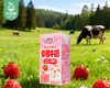 花园草莓牛奶/1箱（125ml*20盒）生产日期：3月15日左右 商品缩略图3
