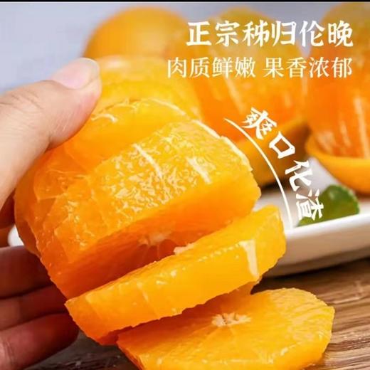 伦晚脐橙（多规格可选） 商品图1