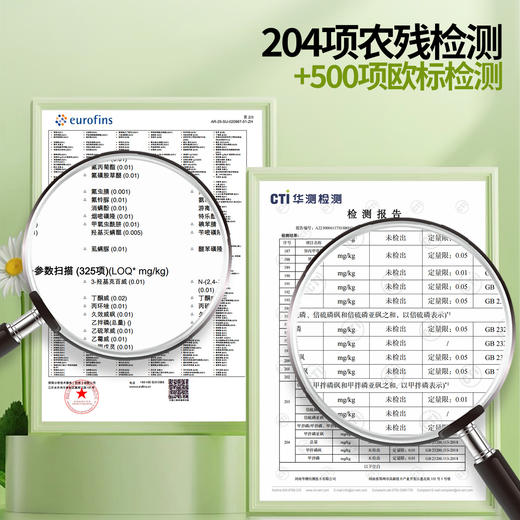 西域美农 铜仁雾青抹茶粉 100%抹茶粉 微苦回甘 商品图8