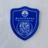 定制龙城高级中学（教育集团）平湖中学（实验高级中学）校徽包邮51 商品缩略图1