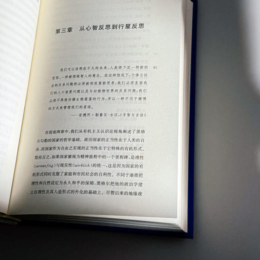 机器与主权 精装 许煜政治技术论“递归三部曲” 商品图11