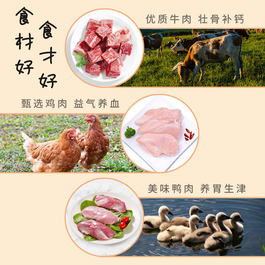 犬太狗狗壹级棒肉条零食犬用肉干成犬耐咬幼犬磨牙金毛泰迪牛肉条 商品图1