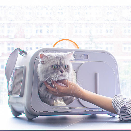 乐优派猫包外出手提猫笼便携单肩宠物包新风系统猫包旅行猫背包 商品图3