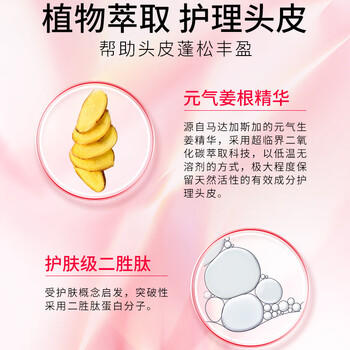 卡诗（KERASTASE）元气姜赋源洗发水250ml+随机洗发水80ml礼盒套装节日送礼物 /个人护理 /洗发护发 /洗发水 商品图2