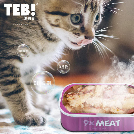 TEB!汤恩贝TM系列猫罐头六种鱼九种肉鹌鹑深海鱼虾肉鸡肉蛋黄125g 商品图1