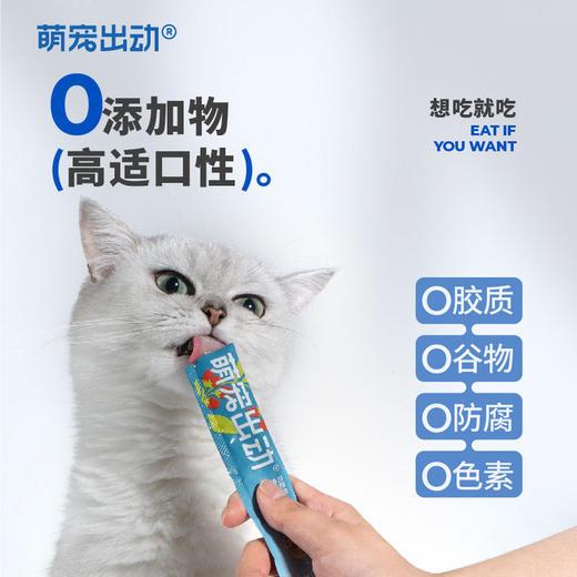 萌宠出动功能草本水果猫条猫零食药食同源营养滋补正品不刮码 商品图2