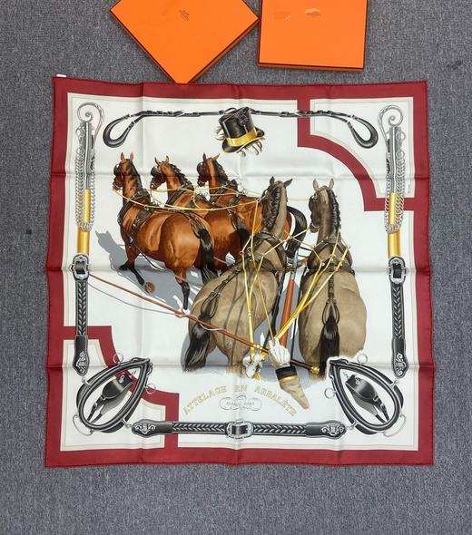 印花丝巾ho 商品图0