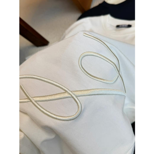 2603305    J刺绣字母短袖T恤 商品图4