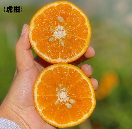 【云南高原虎柑】果肉细嫩化渣，瓤皮薄如蝉翼，补充维C不二之选-CC 商品图5