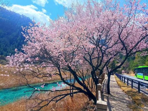 【五一华为专团】奢游成都+九寨+黄龙山水鉴赏5天4晚 商品图1