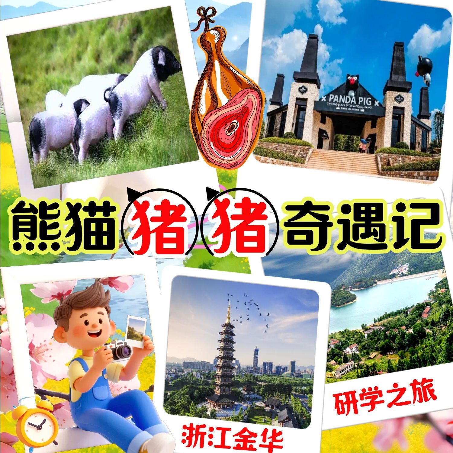【五一】熊猫猪猪奇遇记，金华研学2日营